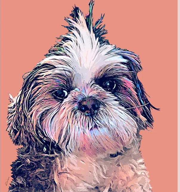 Realistic Pop Art Personalized Pet Portrait