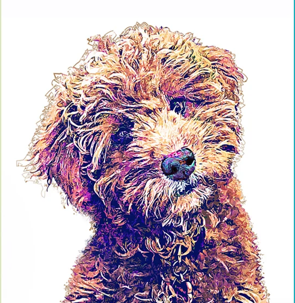 Realistic Pop Art Personalized Pet Portrait